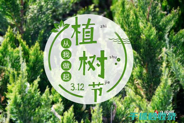 植树节：用行动守护地球的绿色梦想 (植树节用行动守护美丽家园征文)
