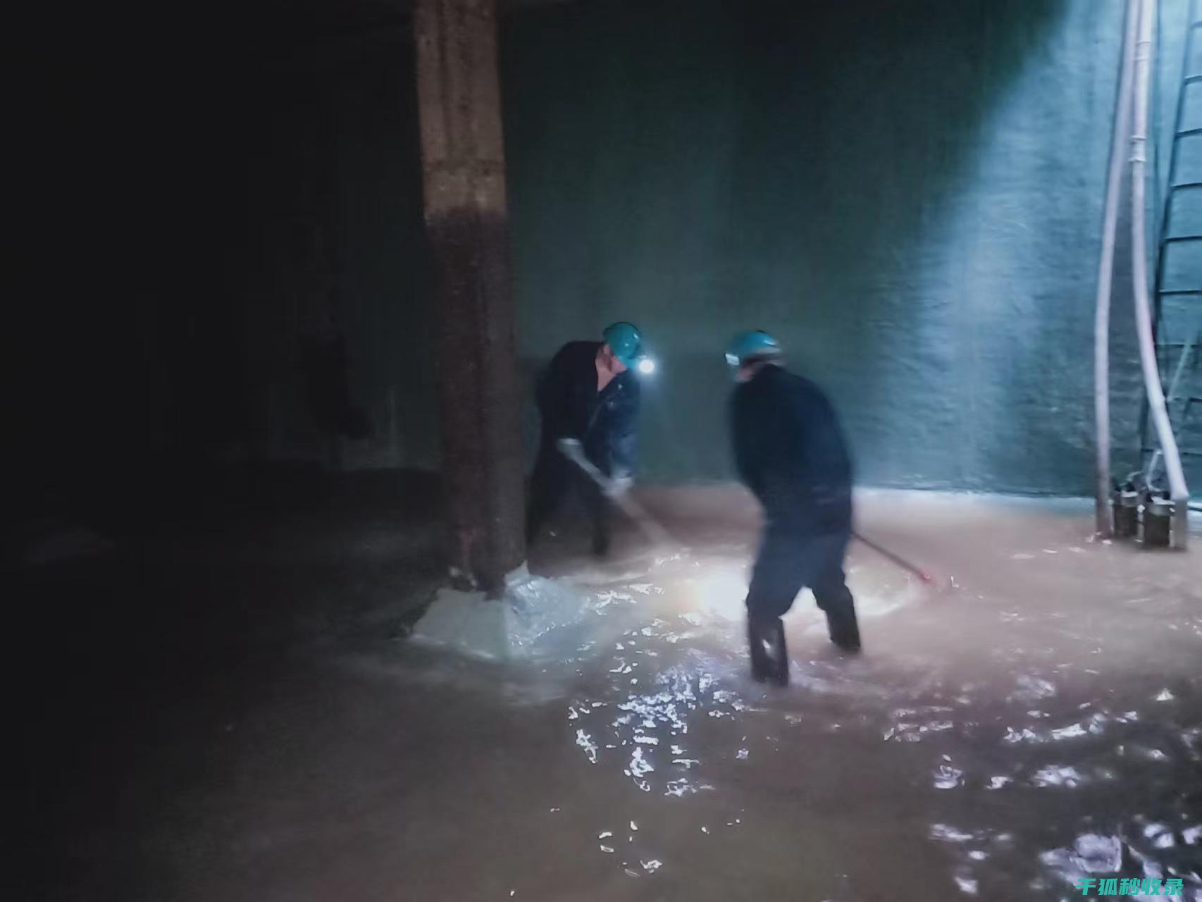 水族箱清洁日志：记录每一次清洁的点滴经验 (水族箱清洁日志怎么写)