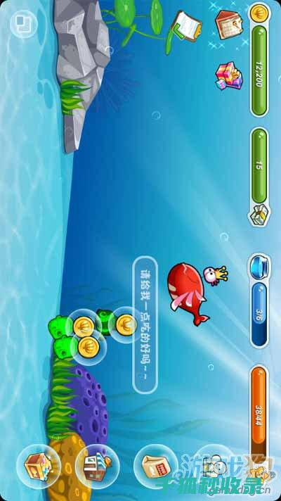 水族箱清洁心得：保持水质稳定的关键步骤 (水族箱清洁心得怎么写)