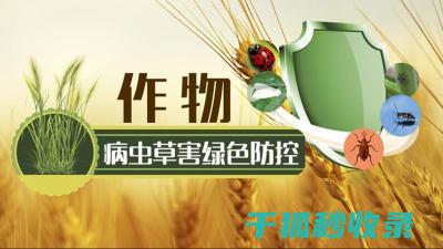 病虫害监测与预警系统的重要性
