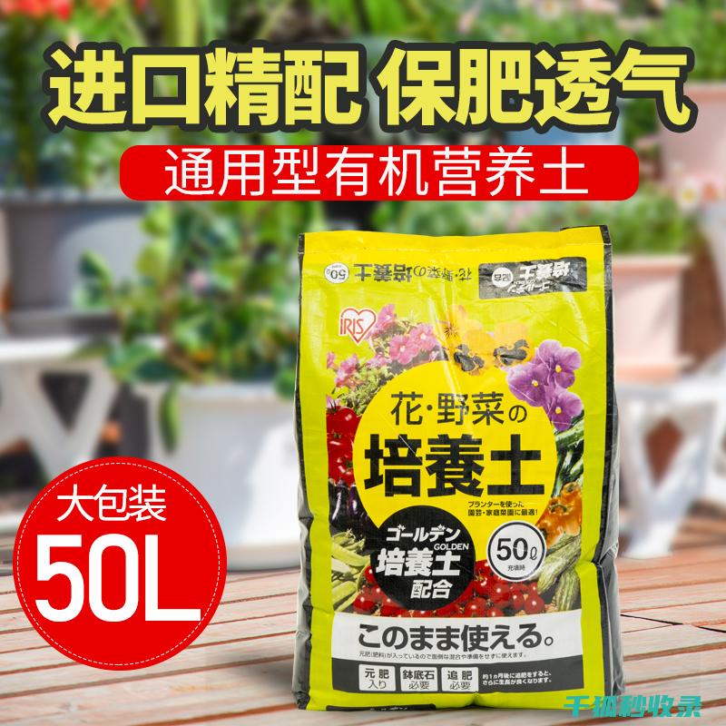 盆栽土壤配比：适合不同湿度需求植物的配方要点 (盆栽土壤配比方法)