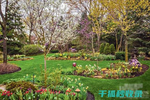 花园中的防蚊之道：你不得不知道的秘密 (花园中的防蚊措施)