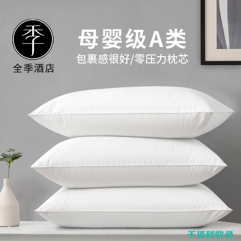 枕头除螨大揭秘：深度清洁与预防相结合 (给枕头除螨)