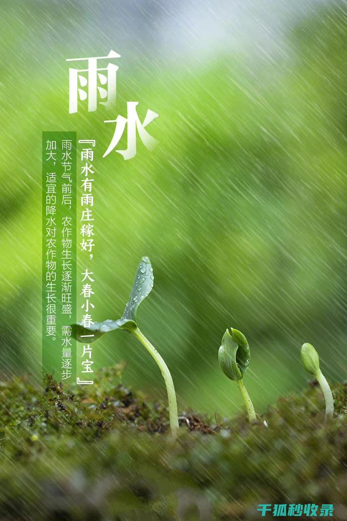 雨水来袭也不怕：揭秘雨伞防水的秘密武器 (雨水来临)