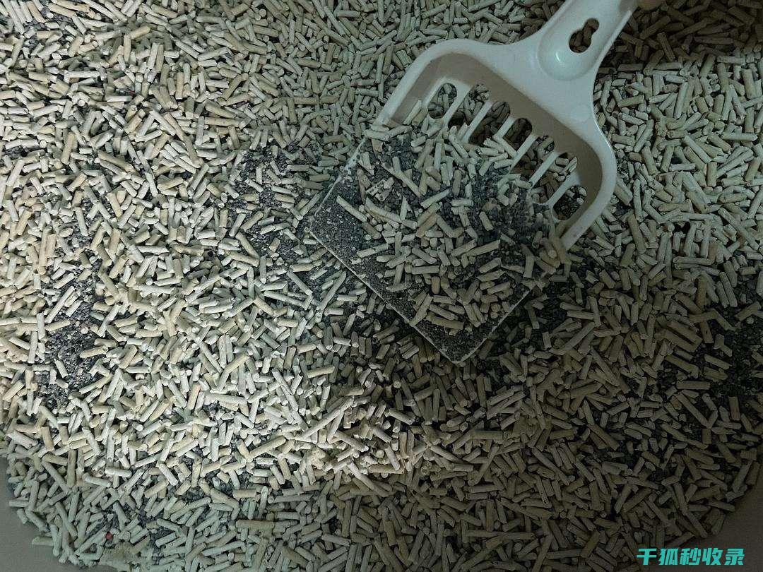 猫砂除臭新探索：从传统猫砂到新型猫砂的变革 (猫砂除臭剂怎么用)