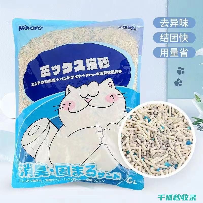 猫砂除臭新探索：从传统猫砂到新型猫砂的变革 (猫砂去味)