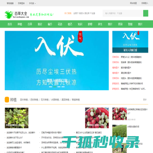 植物百科