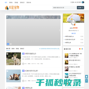 丑崽宠物