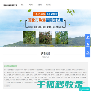 杜仲