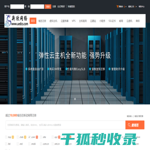 新欣网络