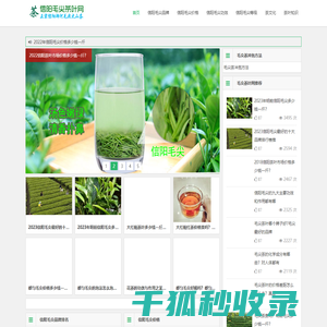 信阳毛尖价格